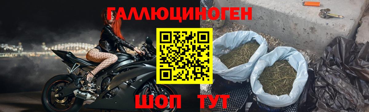 Псилоцибиновые грибы Psilocybine cubensis Санкт-Петербург