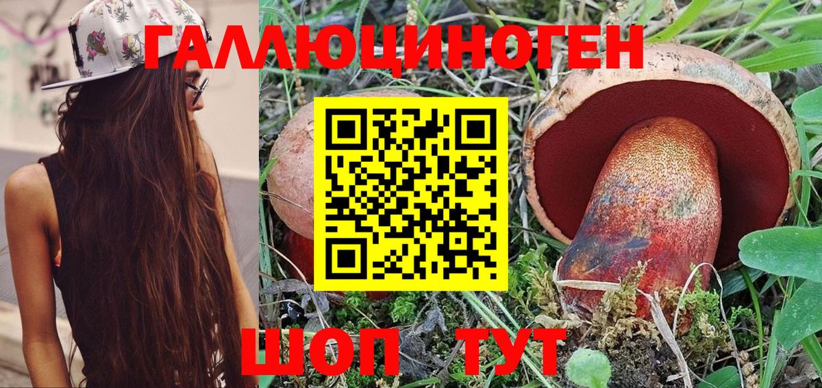 Санкт-Петербург  Псилоцибиновые грибы мицелий  Вход с VPN  Галлюциногенные грибы GOLDEN TEACHER 