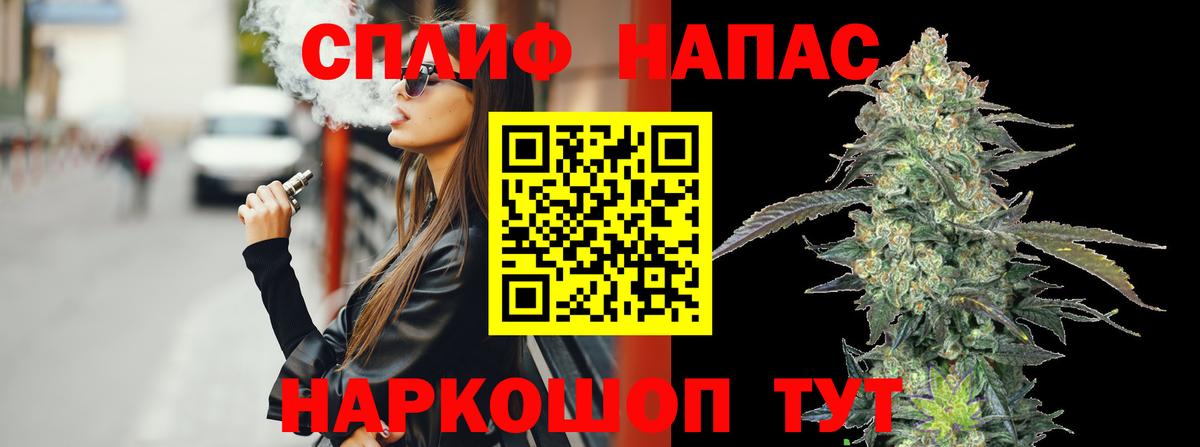Бошки марихуана план Санкт-Петербург